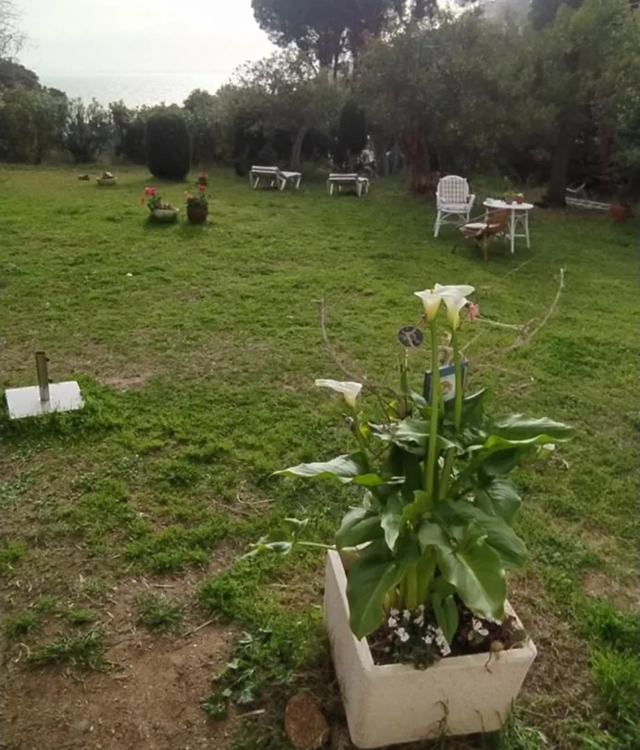 Canyelles Apartament Roses 0*,