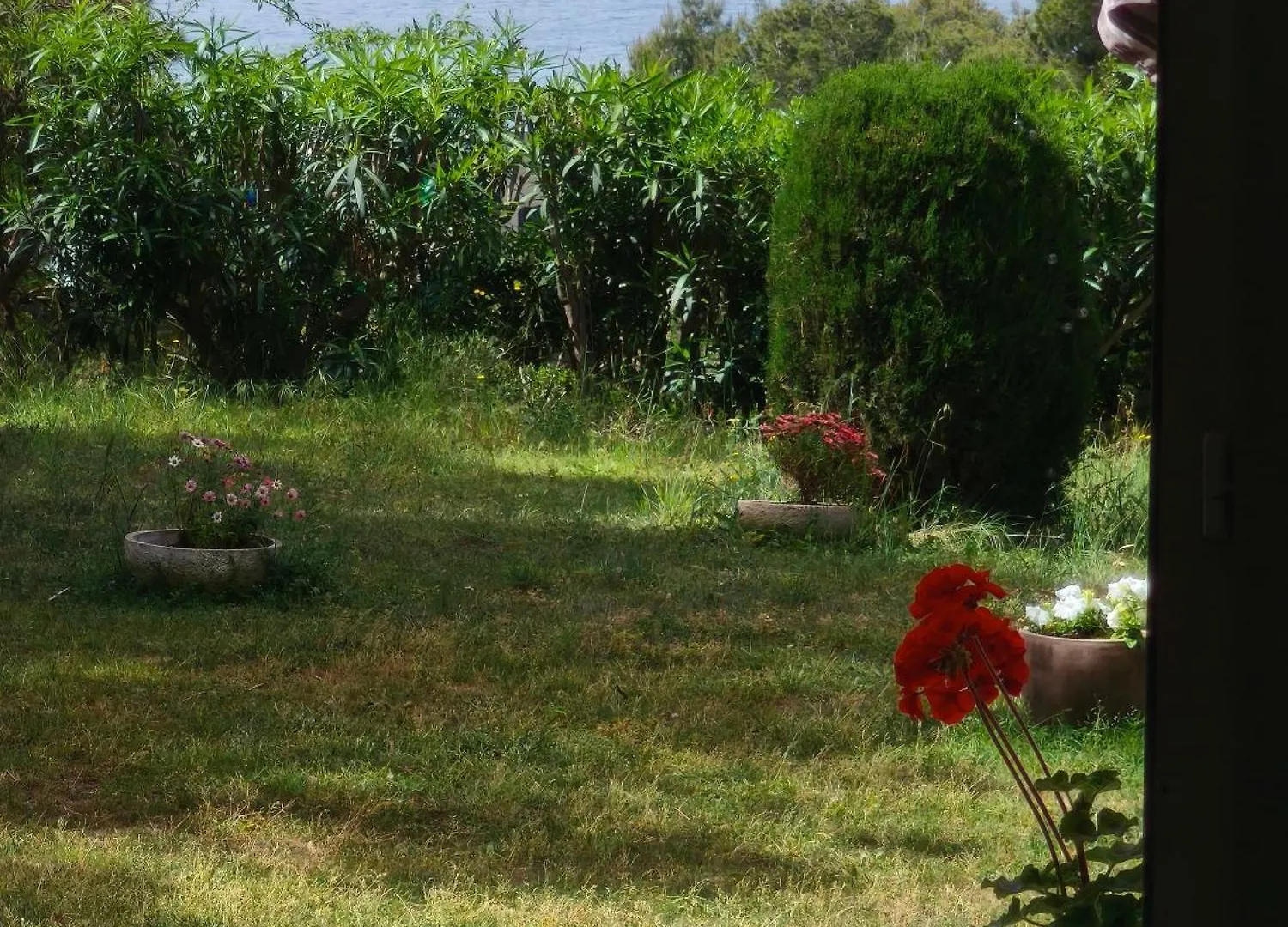 Canyelles Apartament روساس